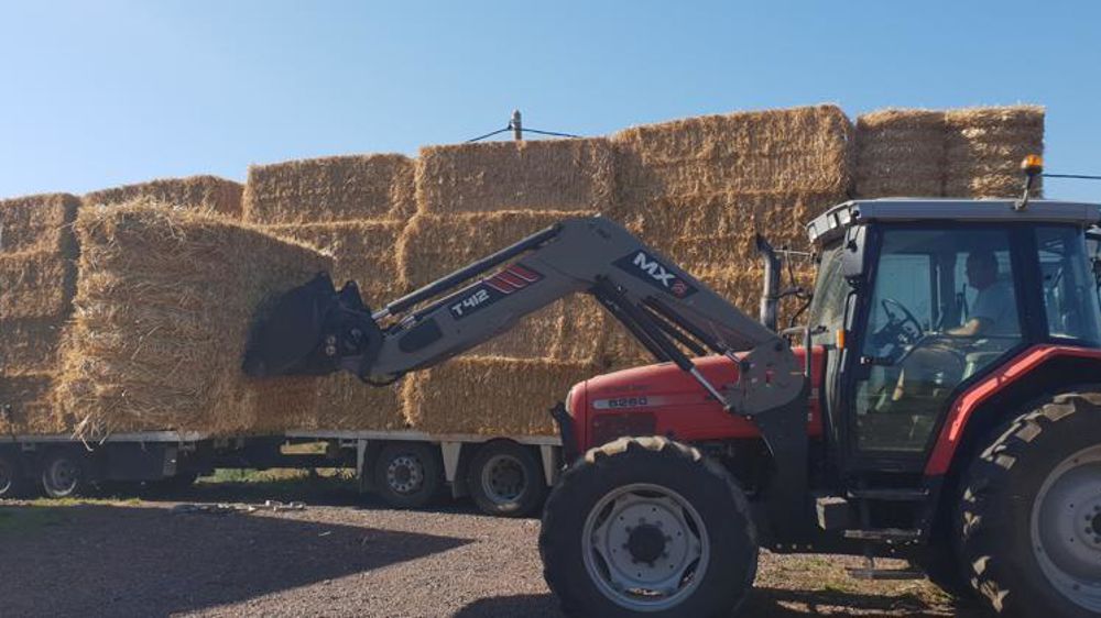 La FDSEA a recensé un besoin de 2 000 tonnes de paille et en cherche encore 1 000. © DR